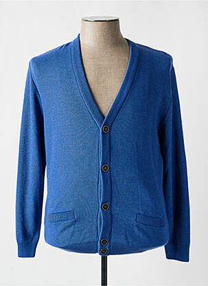Gilet manches longues col v bleu RHODAMEL homme