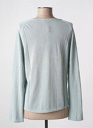 Pull coupe cintrée manches longues gris STEFAN GREEN femme