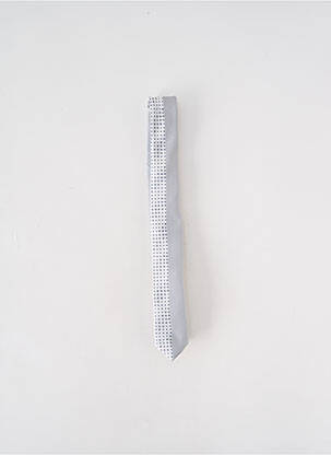 Cravate doublure gris VERUGIA homme