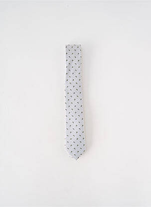 Cravate doublure gris VERUGIA homme