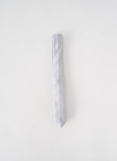 Cravate doublure gris VERUGIA homme