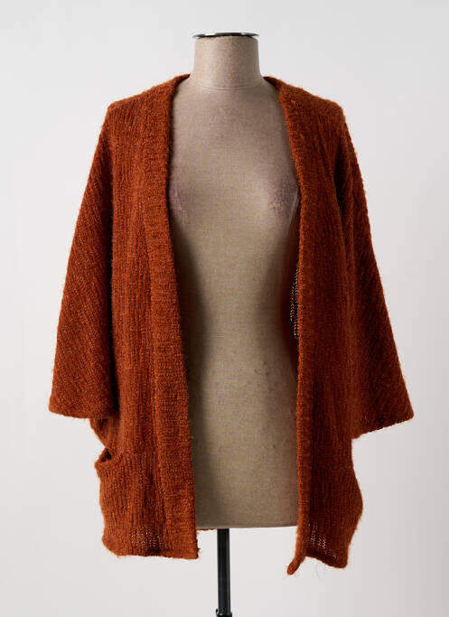 Gilet manches longues maille maille poilu marron MULTIPLES femme