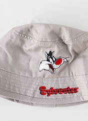 Chapeau gris LOONEY TUNES pour garçon seconde vue