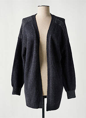 Gilet manches longues maille maille poilu gris DIPLODOCUS femme