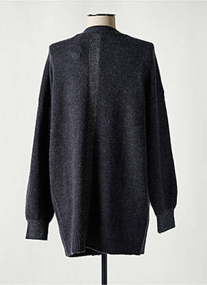 Gilet manches longues maille maille poilu gris DIPLODOCUS femme