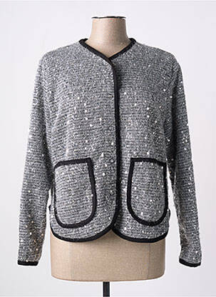 Gilet manches longues col v argent DIXIE femme