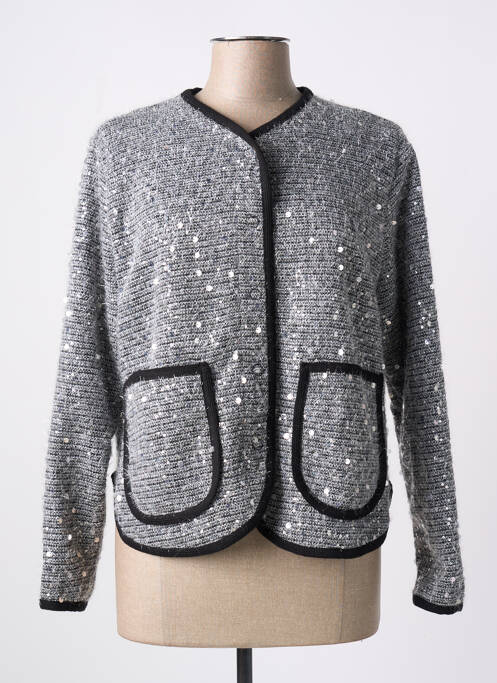 Gilet manches longues maille maille poilu argent DIXIE femme
