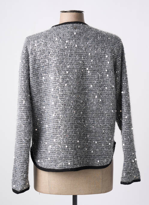 Gilet manches longues maille maille poilu argent DIXIE femme