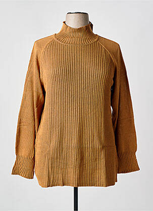 Pull coupe cintrée manches longues marron SHEEGO femme