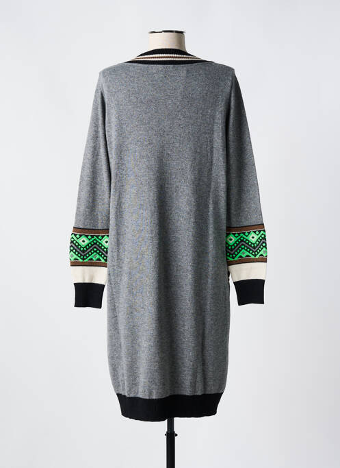 Robe pull gris TRICOT CHIC pour femme