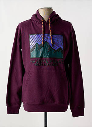 Sweat-shirt à capuche sérigraphie floquée manches longues violet LOSAN homme
