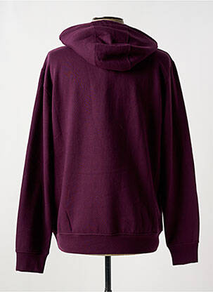 Sweat-shirt à capuche sérigraphie floquée manches longues violet LOSAN homme
