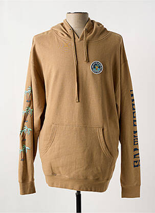 Sweat-shirt à capuche broderie manches longues marron SALTY CREW homme