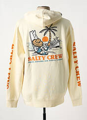 Sweat-shirt à capuche beige SALTY CREW pour homme seconde vue