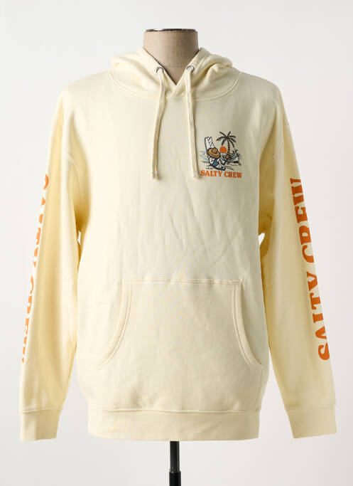 Sweat-shirt à capuche beige SALTY CREW pour homme