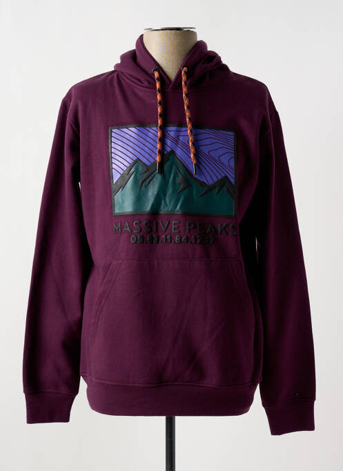 Sweat-shirt à capuche violet LOSAN pour homme