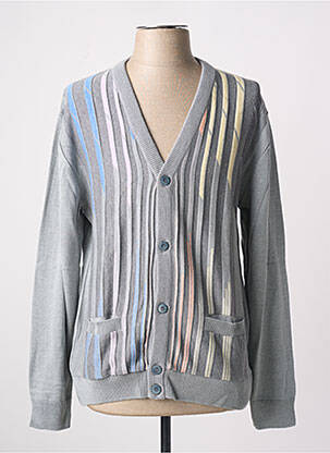 Gilet manches longues col v gris PAUL RHODAMEL homme