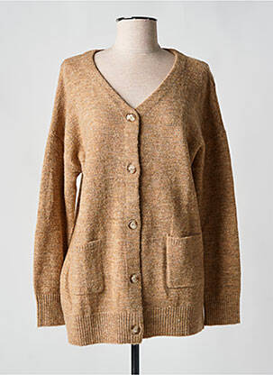 Gilet manches longues stretch marron DIPLODOCUS femme
