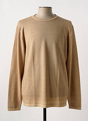 Pull stretch manches longues marron WOOL & CO homme