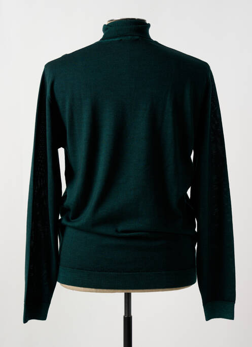 Pull col roulé vert WOOL & CO pour homme