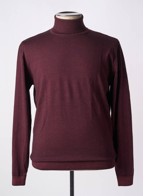 Pull col roulé violet WOOL & CO pour homme