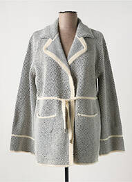 Gilet manches longues maille maille poilu gris MARINA V femme