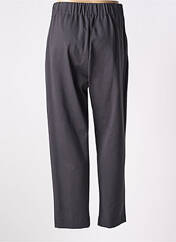 Pantalon droit gris DIANA GALLESI pour femme seconde vue