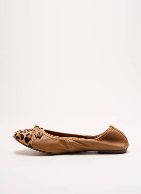 Ballerines marron LES TROPEZIENNES PAR M.BELARBI pour femme