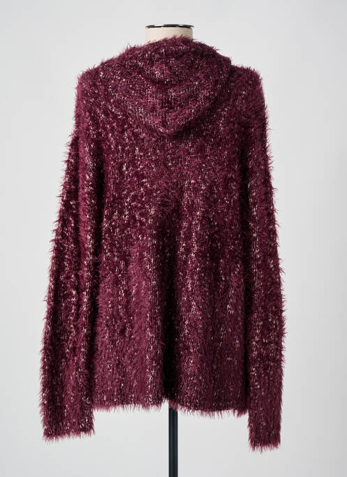 Gilet manches longues maille maille poilu violet LE PETIT BAIGNEUR femme