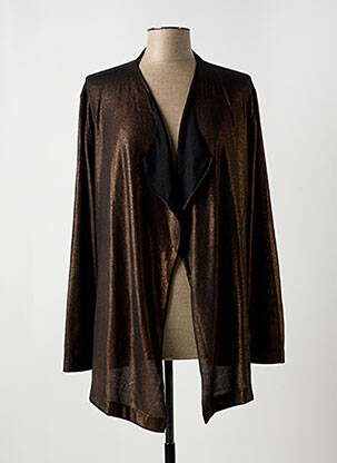 Gilet manches longues col v marron LE PETIT BAIGNEUR femme