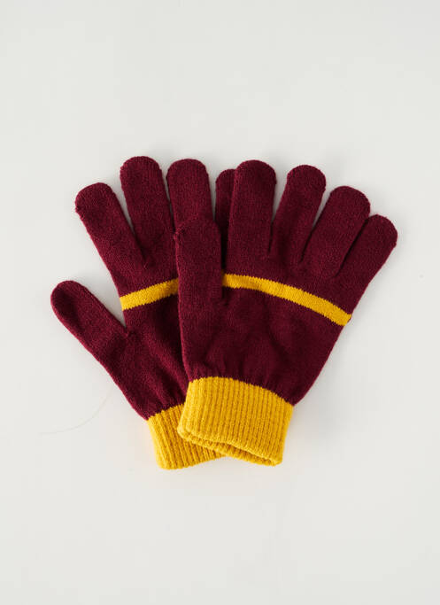 Gants violet HARRY POTTER pour unisexe