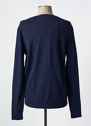 Pull col v manches longues bleu SELECTED homme