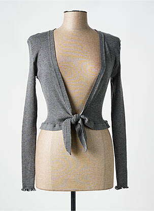 Gilet manches longues stretch gris LISANZA femme