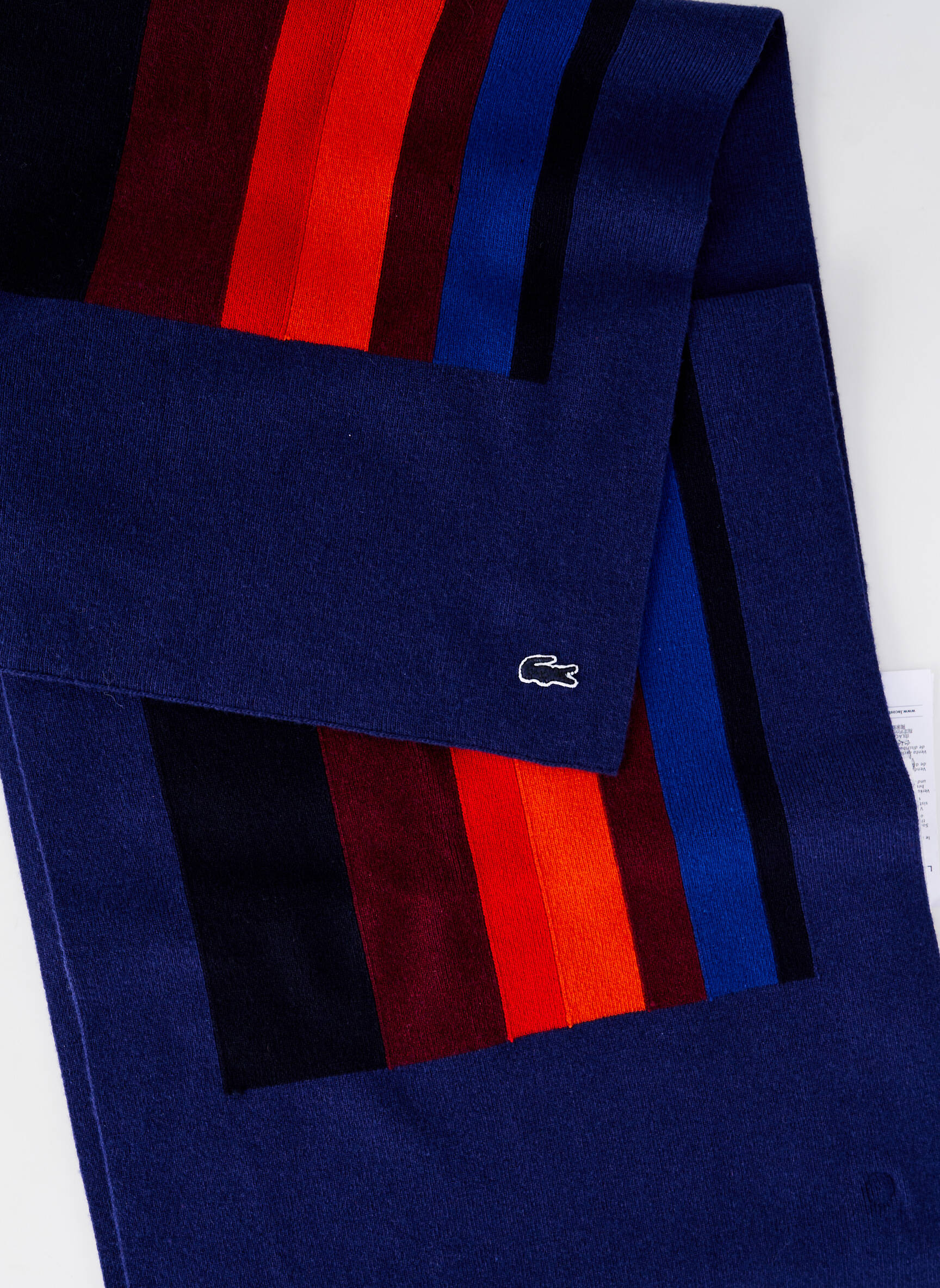 echarpes lacoste homme