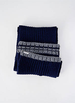 Echarpe stretch bleu NAPAPIJRI homme