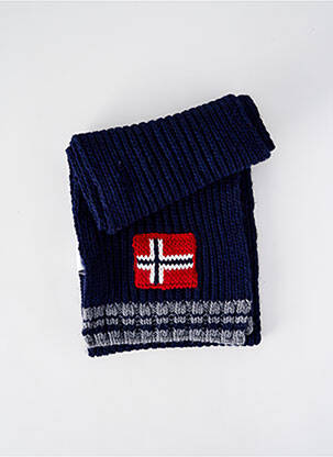 Echarpe stretch bleu NAPAPIJRI homme
