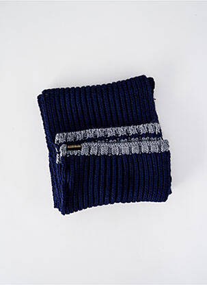 Echarpe stretch bleu NAPAPIJRI homme