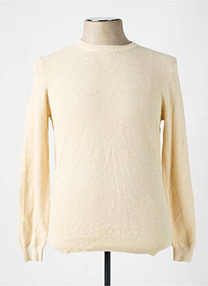 Pull beige BLUEBERYL pour homme
