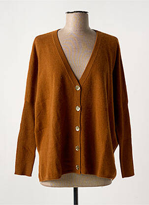 Gilet manches longues fermeture boutonnée sur le devant marron ABSOLUT CASHMERE femme