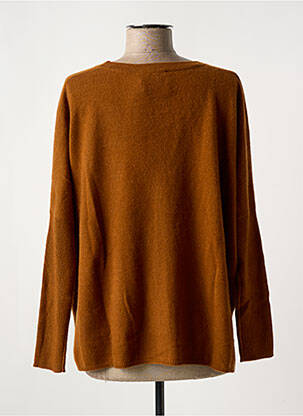 Gilet manches longues fermeture boutonnée sur le devant marron ABSOLUT CASHMERE femme