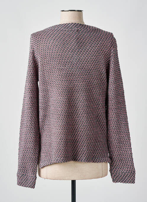 Pull coupe cintrée manches longues gris CHATELET femme