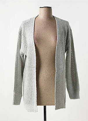 Gilet manches longues maille tricot gris LINEA TESINI femme