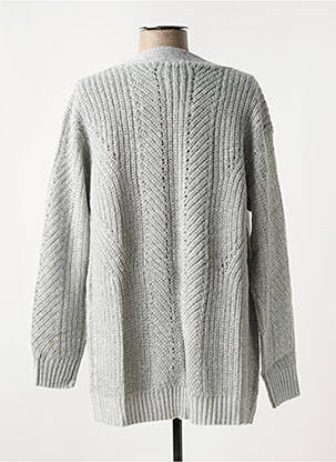 Gilet manches longues maille tricot gris LINEA TESINI femme