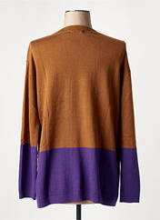 Pull tunique marron LAFTY LIE pour femme seconde vue
