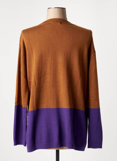 Pull tunique marron LAFTY LIE pour femme
