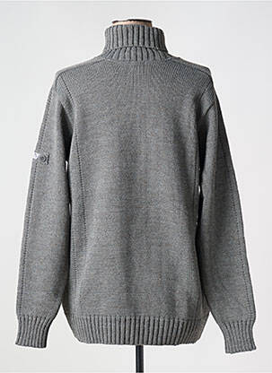 Pull col roulé maille grosse maille manches longues gris DUGER femme