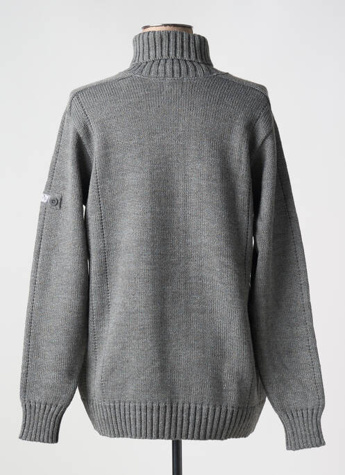 Pull col roulé maille grosse maille manches longues gris DUGER femme