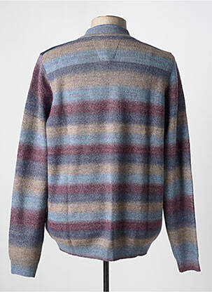 Pull col rond manches longues bleu DELAHAYE homme