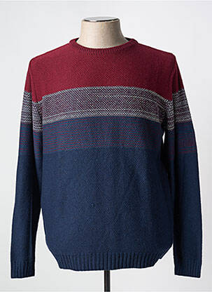 Pull col rond manches longues bleu COFOX homme