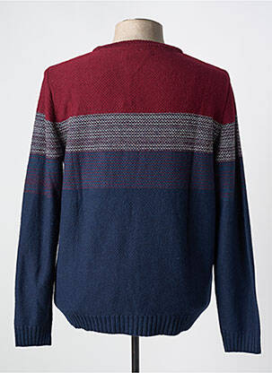 Pull col rond manches longues bleu COFOX homme
